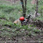 Paintball Galeri