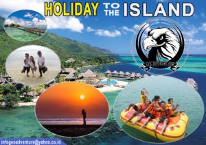 HOLIDAY TO THE ISLAND 1